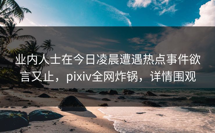 业内人士在今日凌晨遭遇热点事件欲言又止，pixiv全网炸锅，详情围观