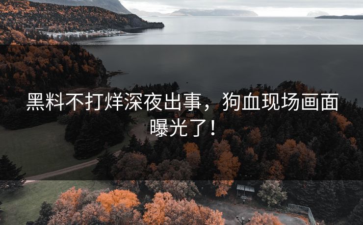 黑料不打烊深夜出事，狗血现场画面曝光了！