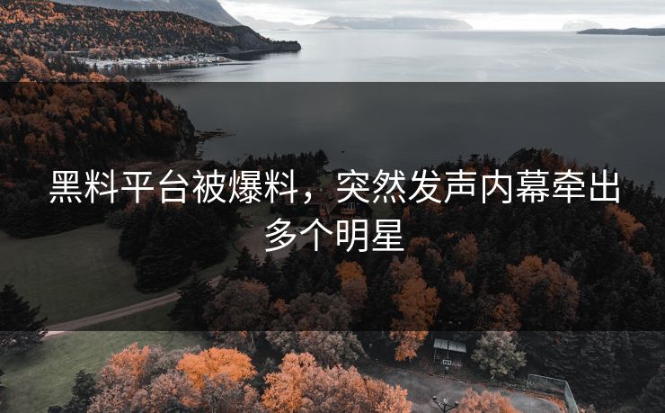 黑料平台被爆料，突然发声内幕牵出多个明星