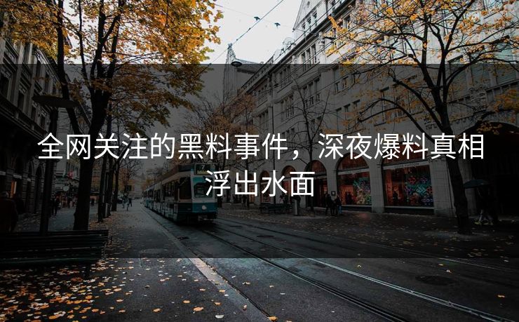 全网关注的黑料事件，深夜爆料真相浮出水面