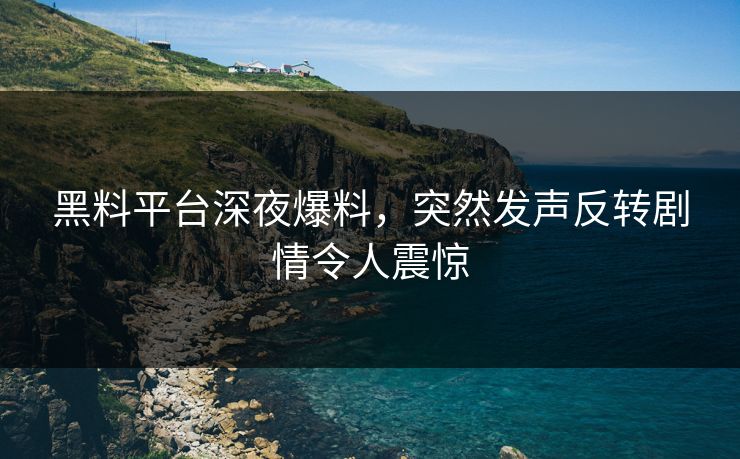黑料平台深夜爆料，突然发声反转剧情令人震惊