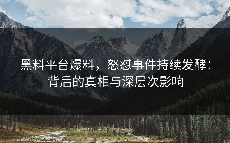黑料平台爆料，怒怼事件持续发酵：背后的真相与深层次影响