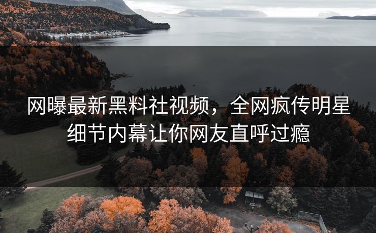 网曝最新黑料社视频，全网疯传明星细节内幕让你网友直呼过瘾