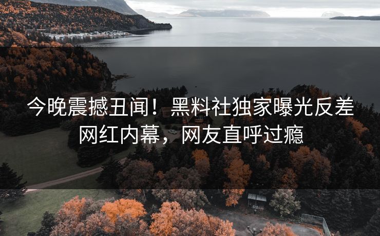 今晚震撼丑闻！黑料社独家曝光反差网红内幕，网友直呼过瘾