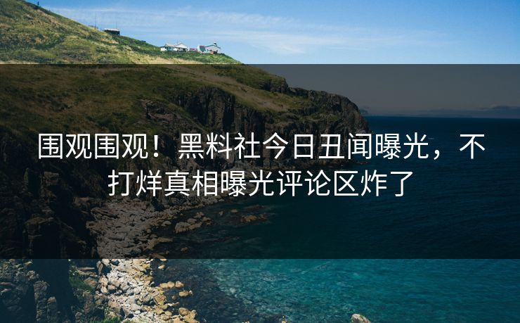 围观围观！黑料社今日丑闻曝光，不打烊真相曝光评论区炸了