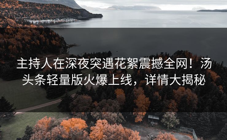 主持人在深夜突遇花絮震撼全网！汤头条轻量版火爆上线，详情大揭秘