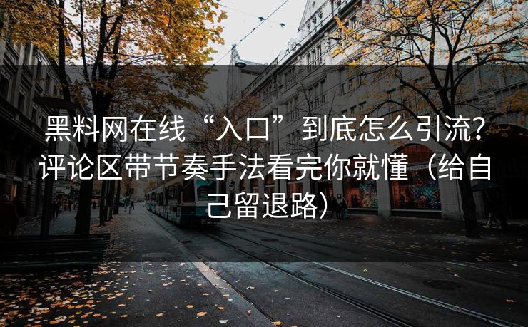 黑料网在线“入口”到底怎么引流？评论区带节奏手法看完你就懂（给自己留退路）